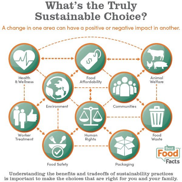 The Benefits of Buying Excess Food Inventory for Food Manufacturers