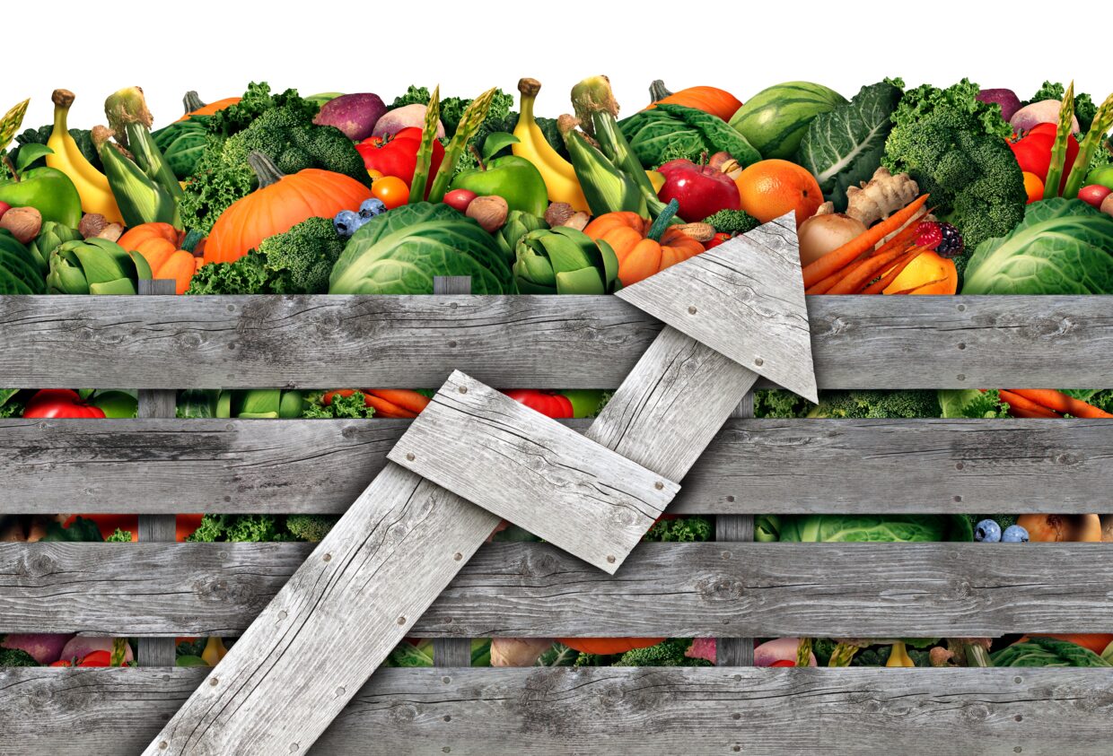 Surviving The Tariff Impact