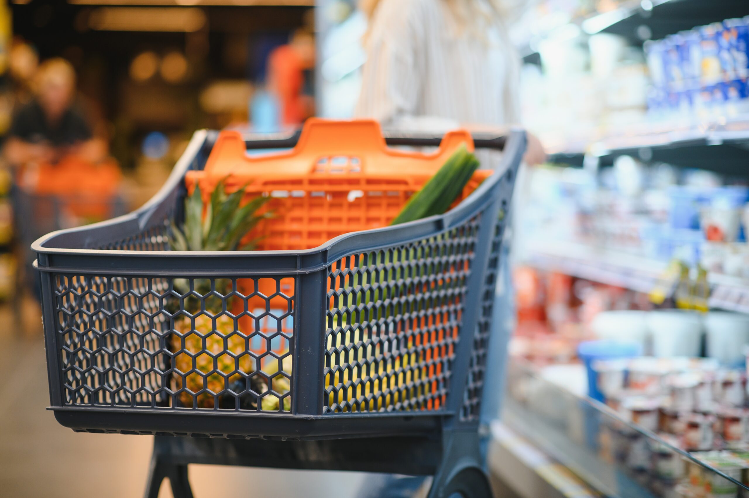 Increasing Food Prices
